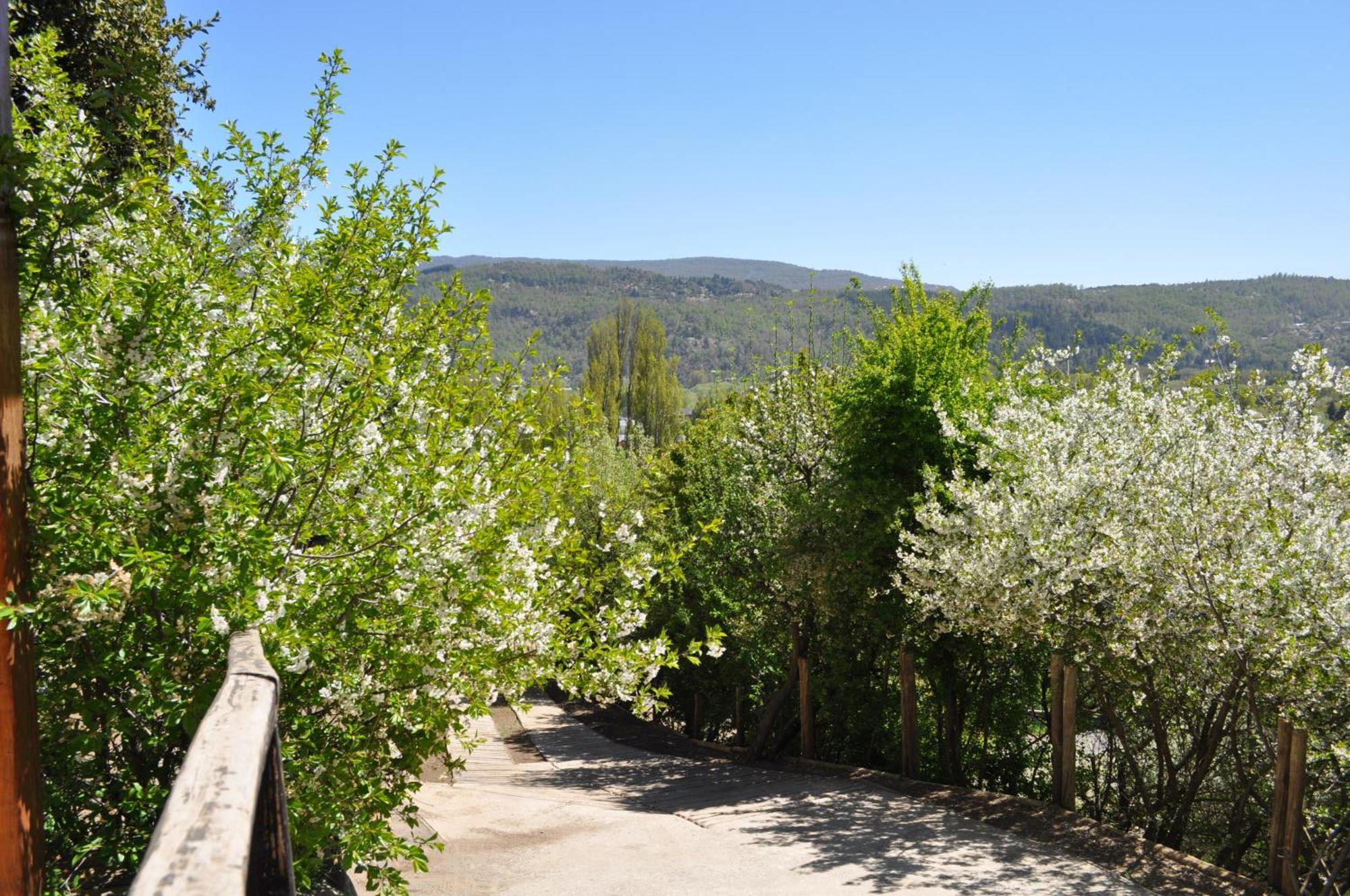 Melodia Natural En San Martin De Los Andes Exterior photo